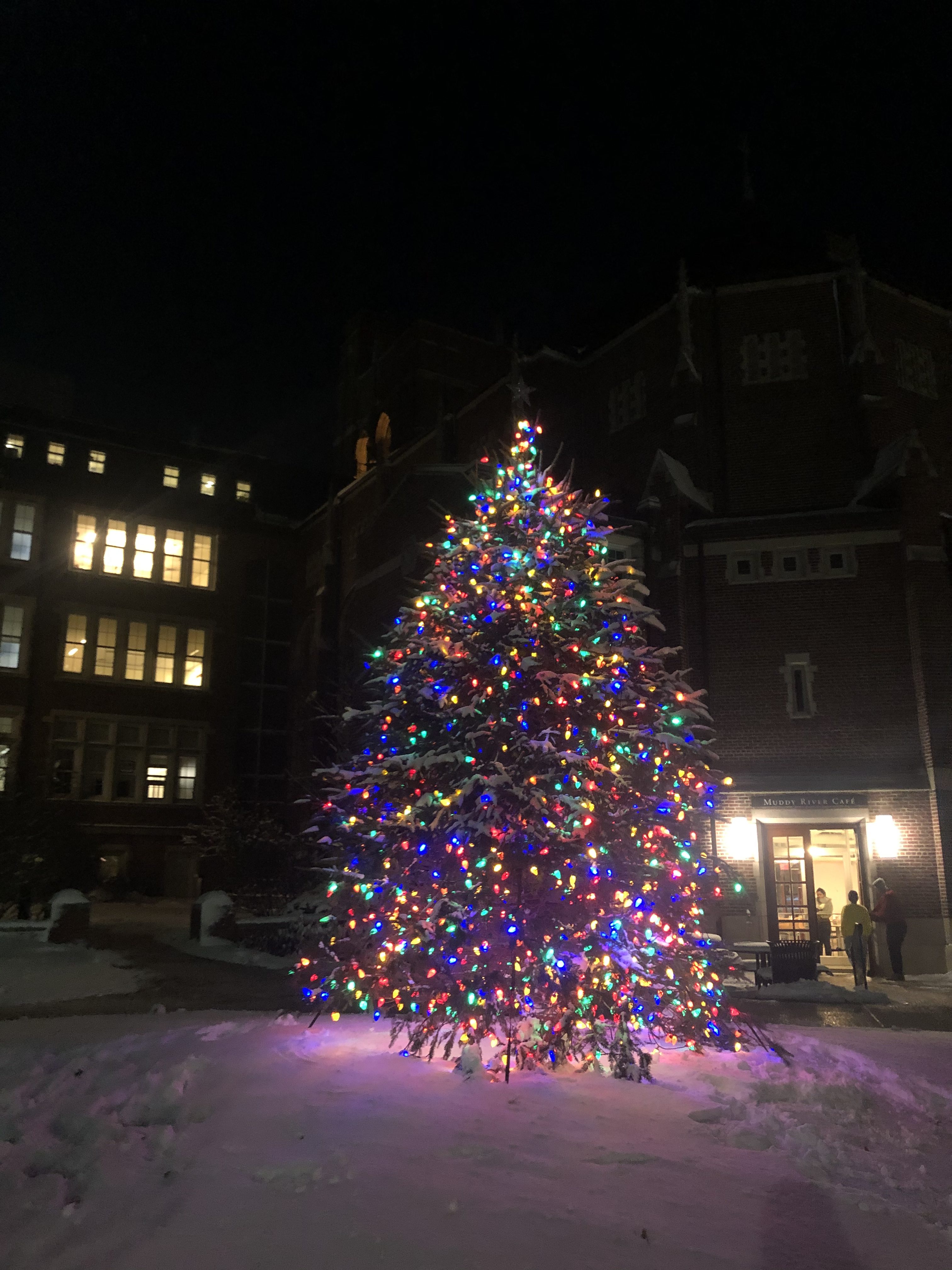 the Christmas tree on Emmanuel's campus